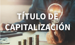 Capitalización